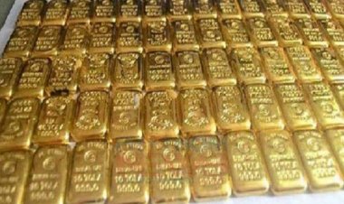 সোহাগ পরিবহনে মিললো ৫৮টি স্বর্ণবার