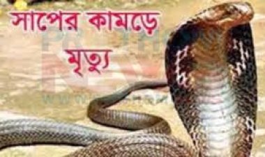 মিলের বারান্দায় গোখরার ছোবলে ব্যবসায়ীর মৃত্যু