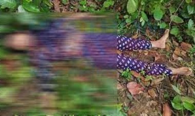 ভাওয়াল জাতীয় উদ্যানে নারীর লাশ
