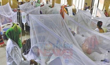 ২৪ ঘণ্টায় আরও ২৭৫ ডেঙ্গু রোগী হাসপাতালে ভর্তি  