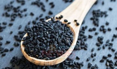 ডায়াবেটিস, ক্যান্সার ও হৃদরোগের সুরক্ষা মিলবে কালোজিরায়