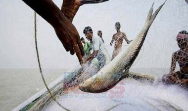 ইলিশ ধরায় ২২ দিনের নিষেধাজ্ঞা