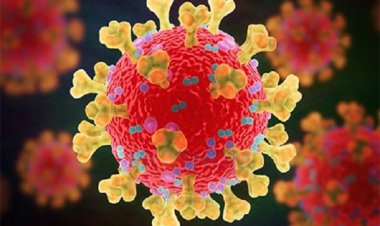 ঠাকুরগাঁওয়ে বিভিন্ন শিক্ষা প্রতিষ্ঠানে  ১৩ শিক্ষার্থী ও ৬ জন শিক্ষক করোনা আক্রান্ত