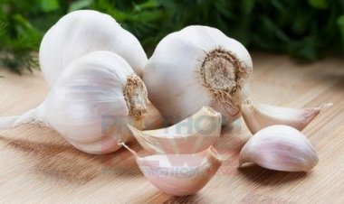 স্থায়ীভাবে খুশকি দূর করতে রসুনের ৫ ব্যবহার