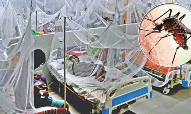 ডেঙ্গু : ২৩ দিনে হাসপাতালে ভর্তি ৬৫৩৮, মৃত্যু ১৩