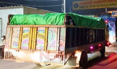 তিন দিনে ভারতে গেল ৫০০ মেট্রিক টন ইলিশ 