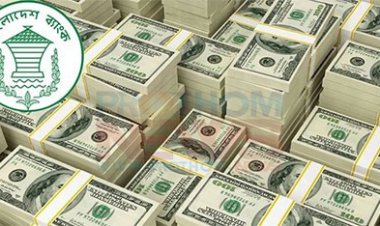  রেমিট্যান্সেও বাংলাদেশের ঘাড়ে নিঃশ্বাস ফেলছে ভিয়েতনাম