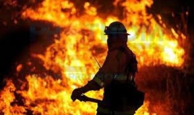 আশুলিয়ায় ফোম কারখানায় ভয়াবহ আগুন