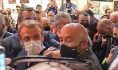 ফ্রান্সের প্রেসিডেন্টকে লক্ষ্য করে আবারও ডিম নিক্ষেপ 