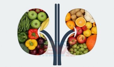 কিডনি ঠিক রাখতে যা যা খাবেন