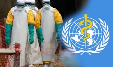 কঙ্গোতে জরুরি স্বাস্থ্য সহায়তা দিতে গিয়ে যৌন কেলেঙ্কারিতে জড়িয়ে পড়ে বিশ্ব স্বাস্থ্য সংস্থার স্টাফরা  : মহাপরিচালকের দুঃখ প্রকাশ