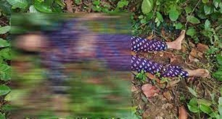 ভাওয়াল জাতীয় উদ্যানে নারীর লাশ