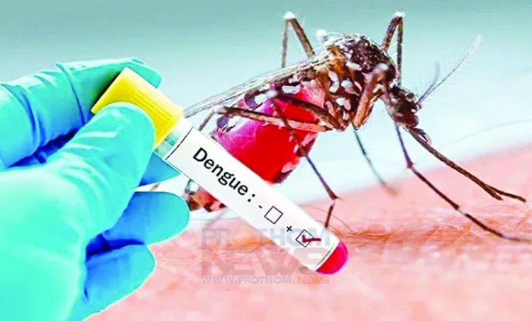 বাড়ছে ডেঙ্গুর ভয়াবহতা : নতুন ২৩২ জন হাসপাতালে ভর্তি