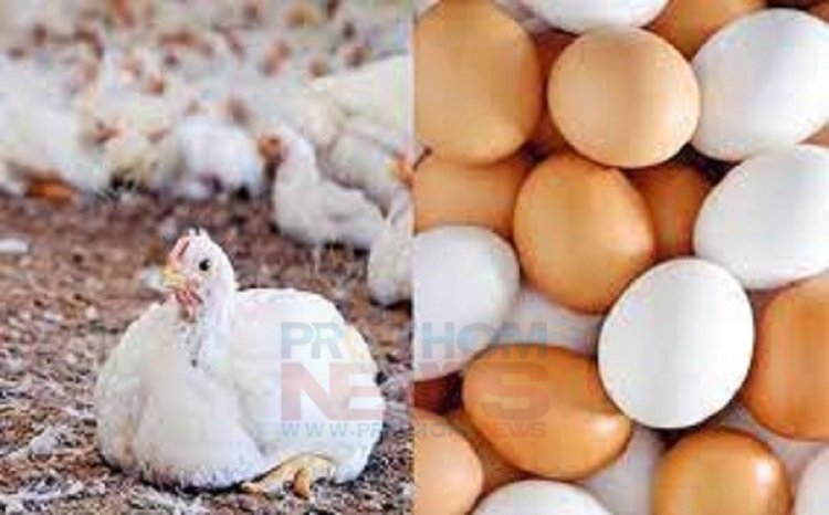 রাজধানীর বাজারগুলোতে বেড়েছে ডিম-মুরগির দাম