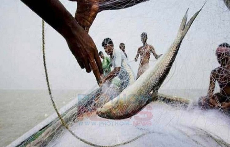 ইলিশ ধরায় ২২ দিনের নিষেধাজ্ঞা
