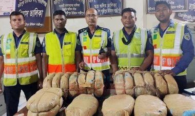 পিকআপের সিটের পেছনে মিললো ৩৮ কেজি গাঁজা