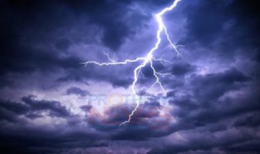 বজ্রপাতে প্রাণ গেলো দুই খামার কর্মচারীর