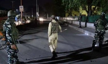 কাশ্মীরে সন্ত্রাসী হামলায় নিহত ৩