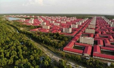 ভাসানচর থেকে পালানো ৪৫ রোহিঙ্গা স্বর্ণদ্বীপে আটক