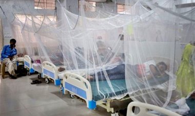 হাসপাতালে আরও ১৯০ ডেঙ্গুরোগী, একজনের মৃত্যু