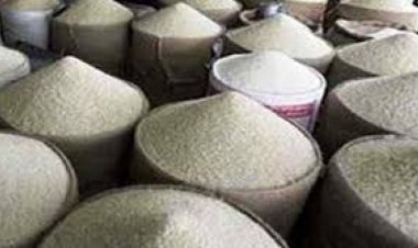 বিলাসিতা’য় বছরে নষ্ট হয় ৬ লাখ টন চাল