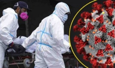 করোনায় ২৪ ঘন্টায় মৃত্যু  ২ জন, শনাক্ত ২৬৪