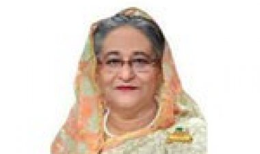 কুমিল্লার ঘটনায় কাউকে ছাড় দেওয়া হবে না: প্রধানমন্ত্রী