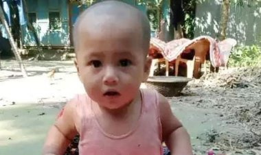 চাটখিলে শিশু নিয়ে পালালেন পাশের বাসার ভাড়াটে