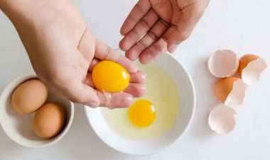 দৈনিক কয়টি ডিম শরীরের জন্য আদর্শ?