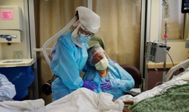  করোনায় গত একদিনে মৃত্যু ৭ জন, শনাক্ত ২৪৭