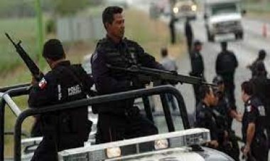 মেক্সিকোতে পুলিশের সঙ্গে অপরাধীচক্রের সংঘর্ষে নিহত ৪