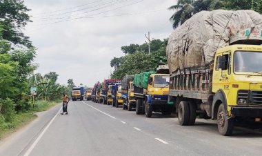 দৌলতদিয়ায় ৮ শতাধিক যানবাহন পারাপারের অপেক্ষায়