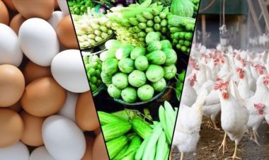 ব্রয়লার মুরগির ডাবল সেঞ্চুরি: সবজির দাম অপরিবর্তিত