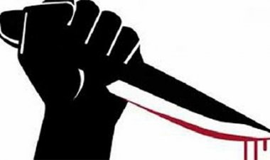 ছিনতাইকারীর ছুরিকাঘাতে তরুণী আহত