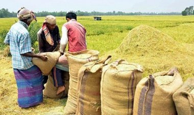  আমন: ৪০ টাকায় চাল, ২৭ টাকা দরে ধান কিনবে সরকার