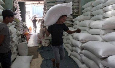 ১০ বছরে এখন বিশ্বে খাবারের দাম সর্বোচ্চ