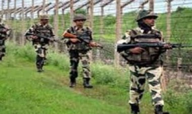 সীমান্তে বিএসএফের গুলিতে ২ বাংলাদেশি নিহত