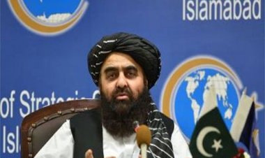 আমাদের বিশাল সামরিক বাহিনীর প্রয়োজন নেই: তালেবান পররাষ্ট্রমন্ত্রী