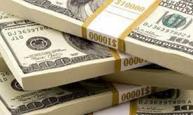 সেঞ্চুরি হাঁকাল ডলার, খোলা বাজারে ১০২ টাকা