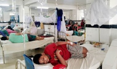 গত ২৪ ঘণ্টায় ১৪০ জন নতুন ডেঙ্গু রোগী বিভিন্ন হাসপাতালে ভর্তি