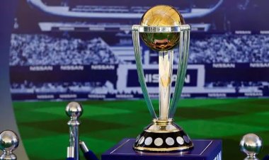 ২০৩১ সালে বিশ্বকাপ আয়োজন করবে বাংলাদেশ