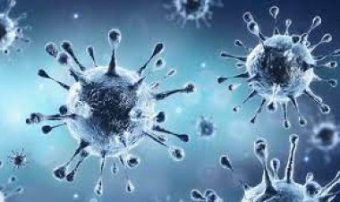  আগামী মার্চের মধ্যেই ইউরোপে ৫ লাখ মানুষ  প্রাণ হারাতে পারে