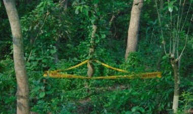  ব্রাজিলে বন্দুকযুদ্ধ, জঙ্গল থেকে ৮ মরদেহ উদ্ধার