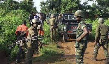 কঙ্গোতে বিদ্রোহীদের হামলায় নিহত ১২