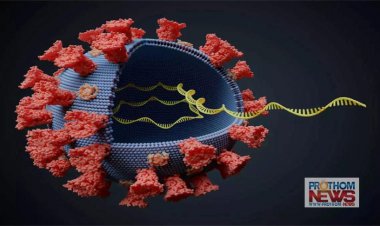 ইউরোপে শনাক্ত হলো কোভিডের  বি.১.১.৫২৯ নামের এই ভ্যারিয়েন্ট