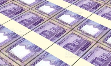 খেলাপি ঋণে ৪১ হাজার কোটি টাকার সুদ স্থগিত