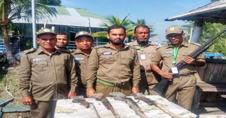 সুন্দরবনে মাটির নিচে পাওয়া গেল ৪ বন্দুক