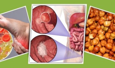 শীতে দৈনিক এক মুঠো ছোলা খেলে শরীরে যা ঘটে