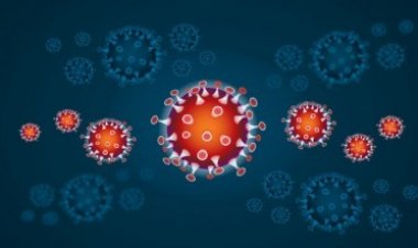 ৩০টি দেশে ঢুকে পড়েছে করোনাভাইরাসের নতুন বিপজ্জনক ‘ওমিক্রন’