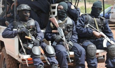 মালিতে বাসে ভয়াবহ হামলা, নিহত অন্তত ৩১